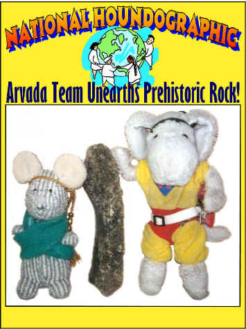 Sparky and Sniffy on the cover of National Houndographic Magazine showing off the Prehistoric Rock they found in the back yard.