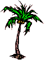 Little tree that grows bananas and coconuts