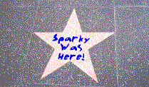 Sparky's name on the blank star in front of the Chinese Theater.